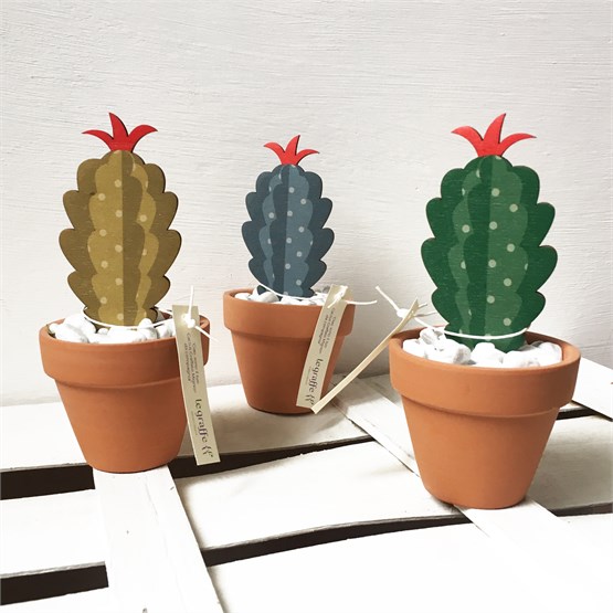 Kit 3 Cactus 